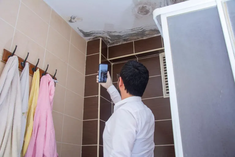 Reporting damp or mould early, along with clear photographs, helps us assess the issue and determine the most appropriate next steps.