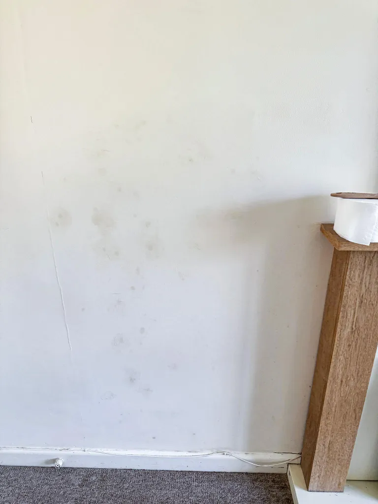 Everyday marks and signs of use can be part of fair wear and tear.