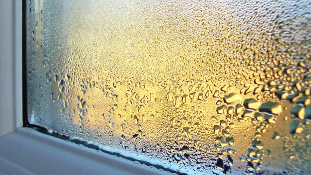 Damp and mould can have a range of causes. Understanding the source of the moisture is the first step towards finding the right solution.